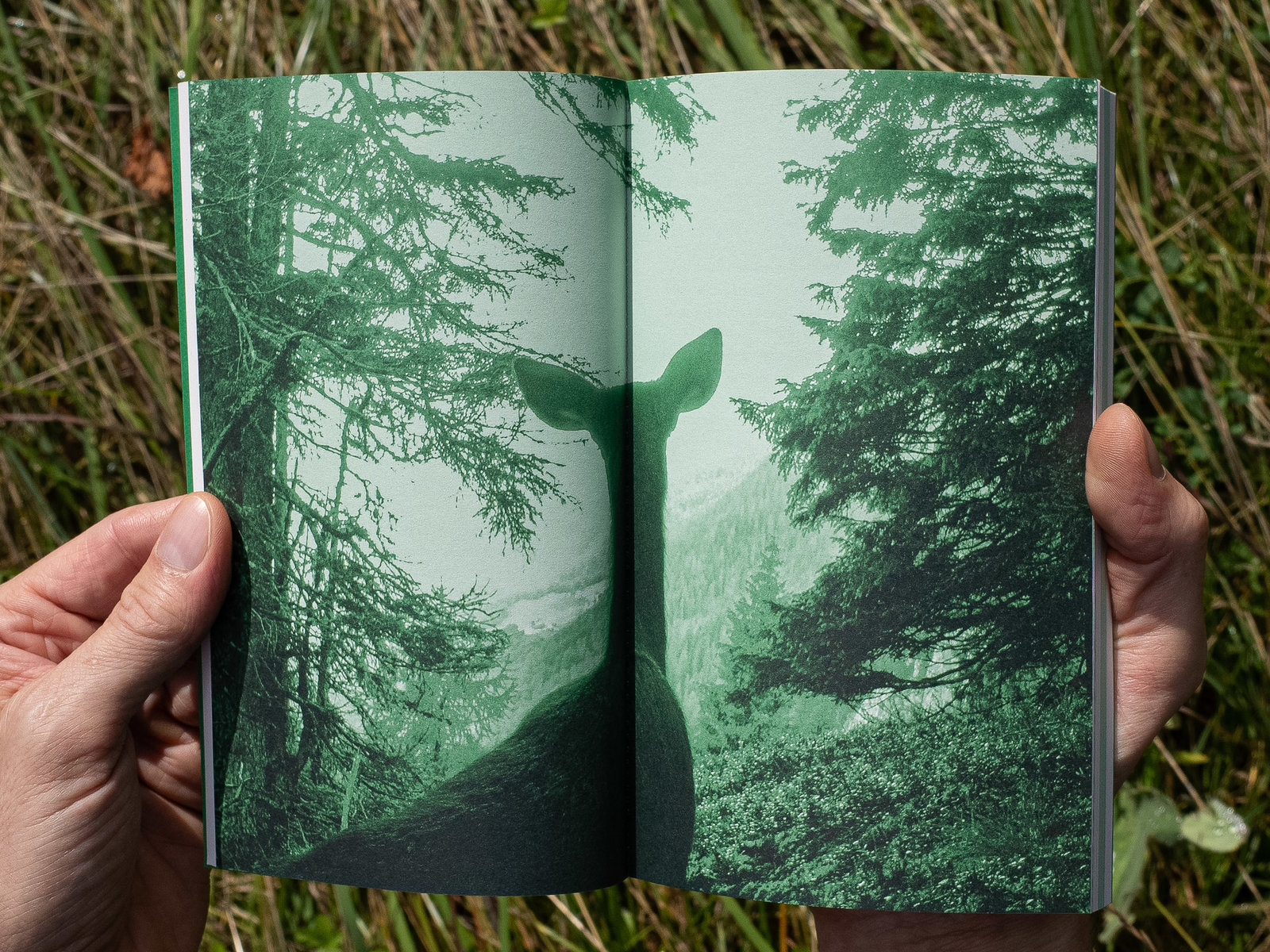 ILEA Book Serie