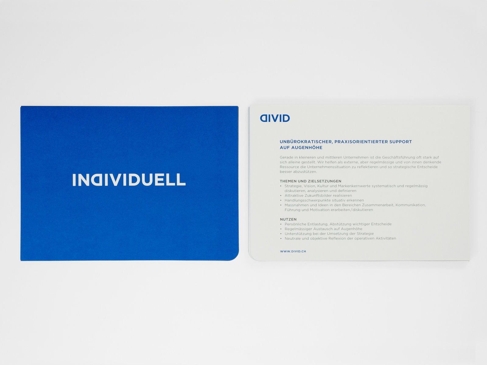 Flyer Divid	