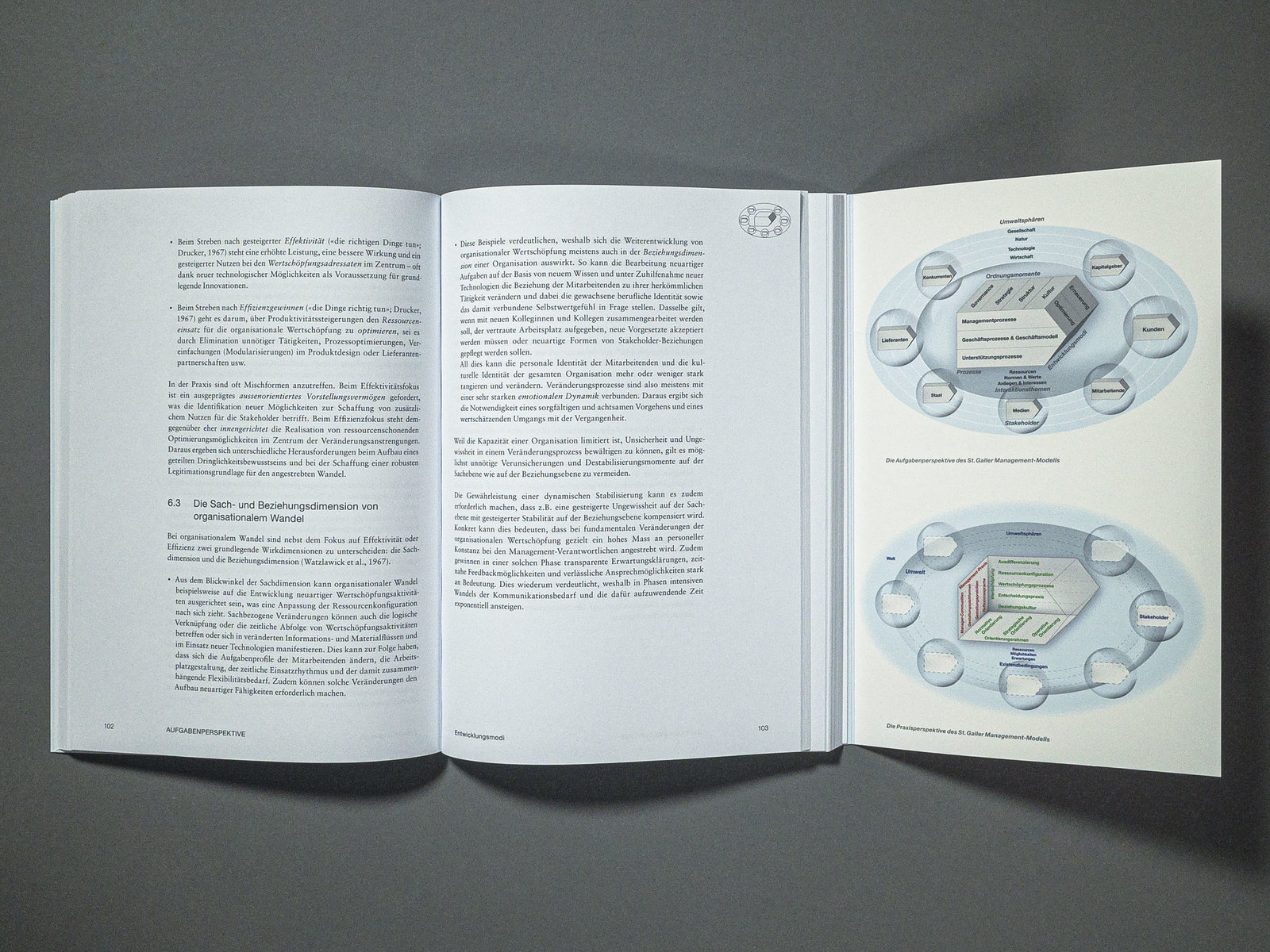 Lehrbuch St. Galler Management-Modell SGMM
