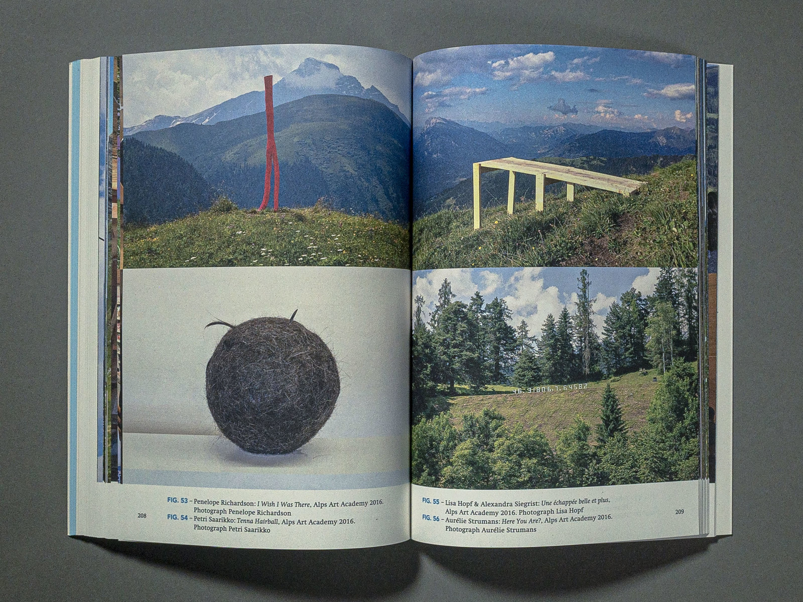 Landscape 1